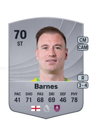 Ashley Barnes