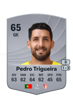 Pedro Trigueira
