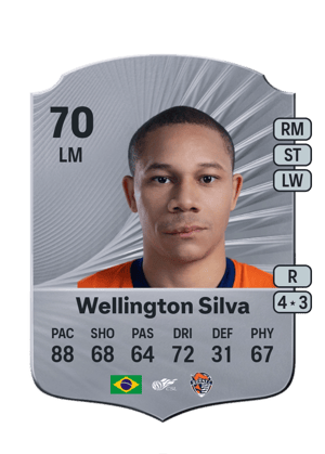 Wellington Silva