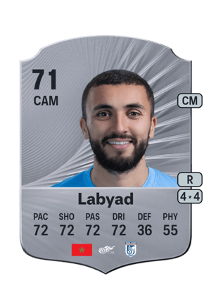 Zakaria Labyad