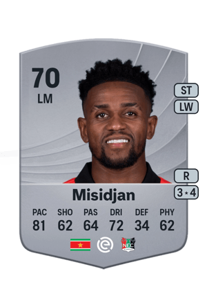 Virgil Misidjan