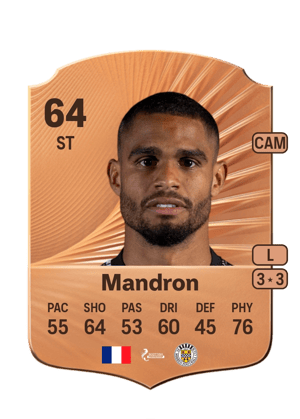 Mikaël Mandron