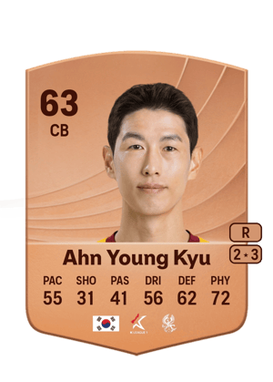 Ahn Young Kyu