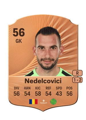 Cristian Nedelcovici