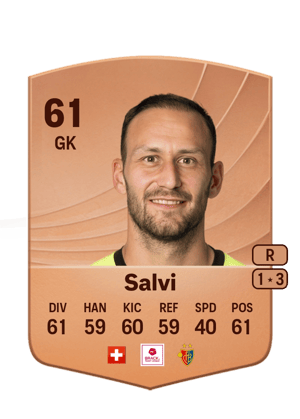 Mirko Salvi