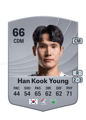 Han Kook Young