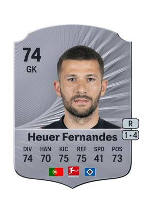 Daniel Heuer Fernandes