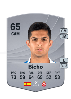 Bicho