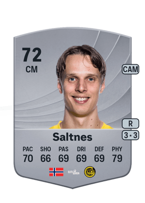 Ulrik Saltnes