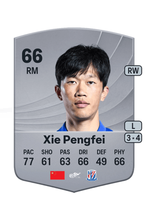 Xie Pengfei