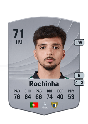 Rochinha