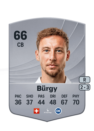 Nicolas Bürgy