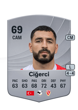 Tolcay Ciğerci