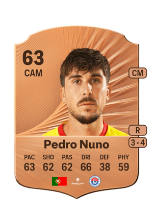 Pedro Nuno