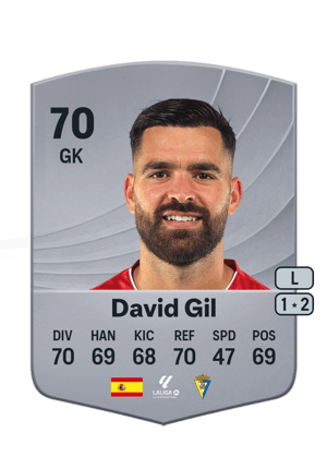David Gil