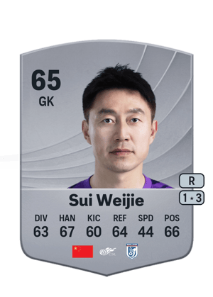 Sui Weijie