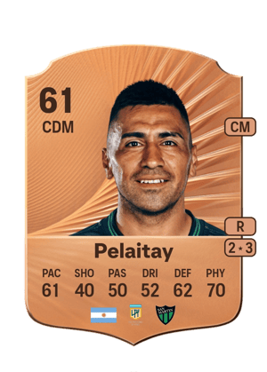 Nicolás Pelaitay