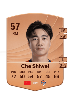 Che Shiwei