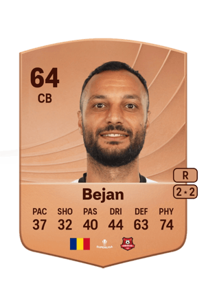Florin Bejan