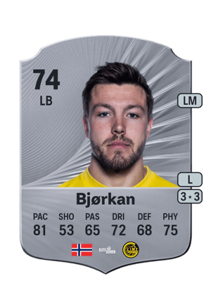 Fredrik Bjørkan