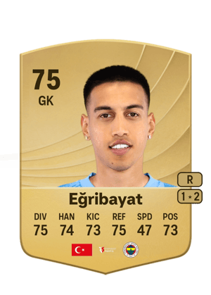 İrfan Can Eğribayat