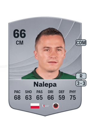 Michał Nalepa