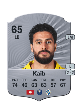 Rami Kaib