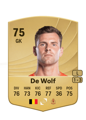 Ortwin De Wolf