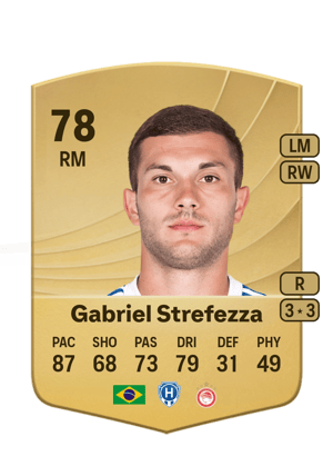Gabriel Tadeu Strefezza Rebelato
