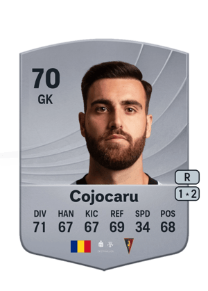 Valentin Cojocaru