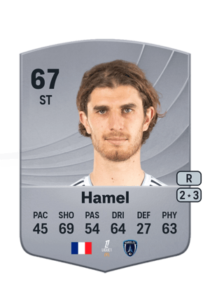 Pierre-Yves Hamel