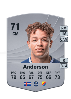 Mikael Anderson