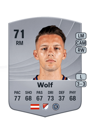 Hannes Wolf