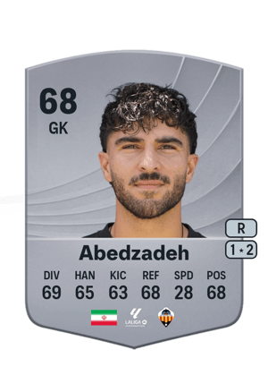 Amir Abedzadeh