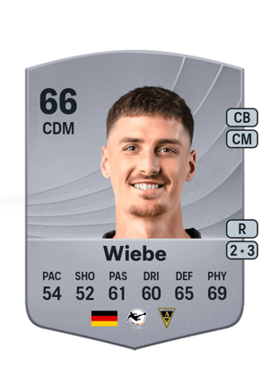 Danilo Wiebe