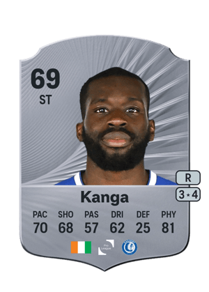 Wilfried Kanga