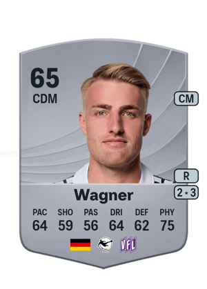 Fridolin Wagner