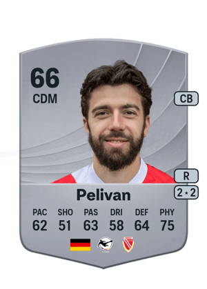 Dominik Pelivan