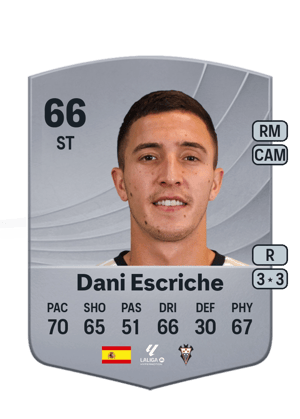 Dani Escriche