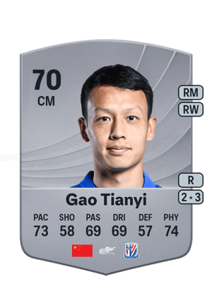 Gao Tianyi