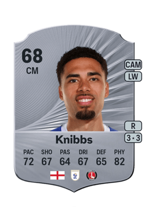 Harvey Knibbs