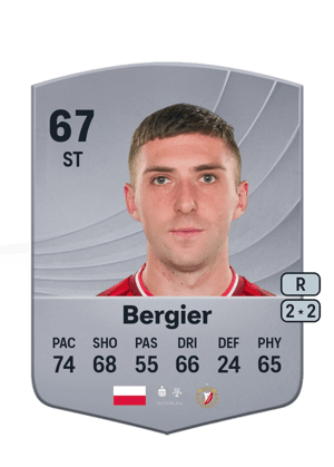 Sebastian Bergier