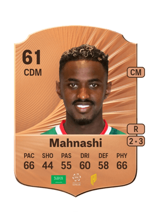 Ibrahim Mahnashi