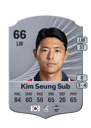 Seung Sub Kim
