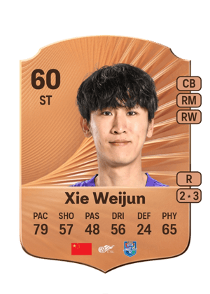 Xie Weijun