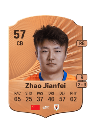 Zhao Jianfei