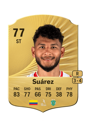 Luis Javier Suárez