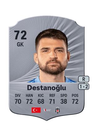Ersin Destanoğlu