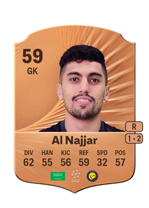 Raghid Al Najjar