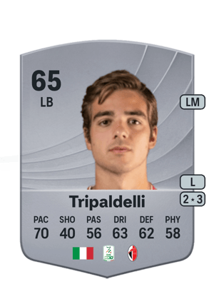 Alessandro Tripaldelli
